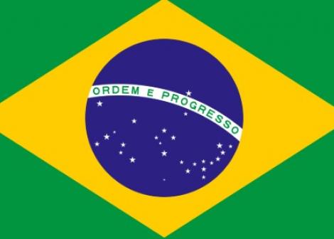 Brazilian Flag